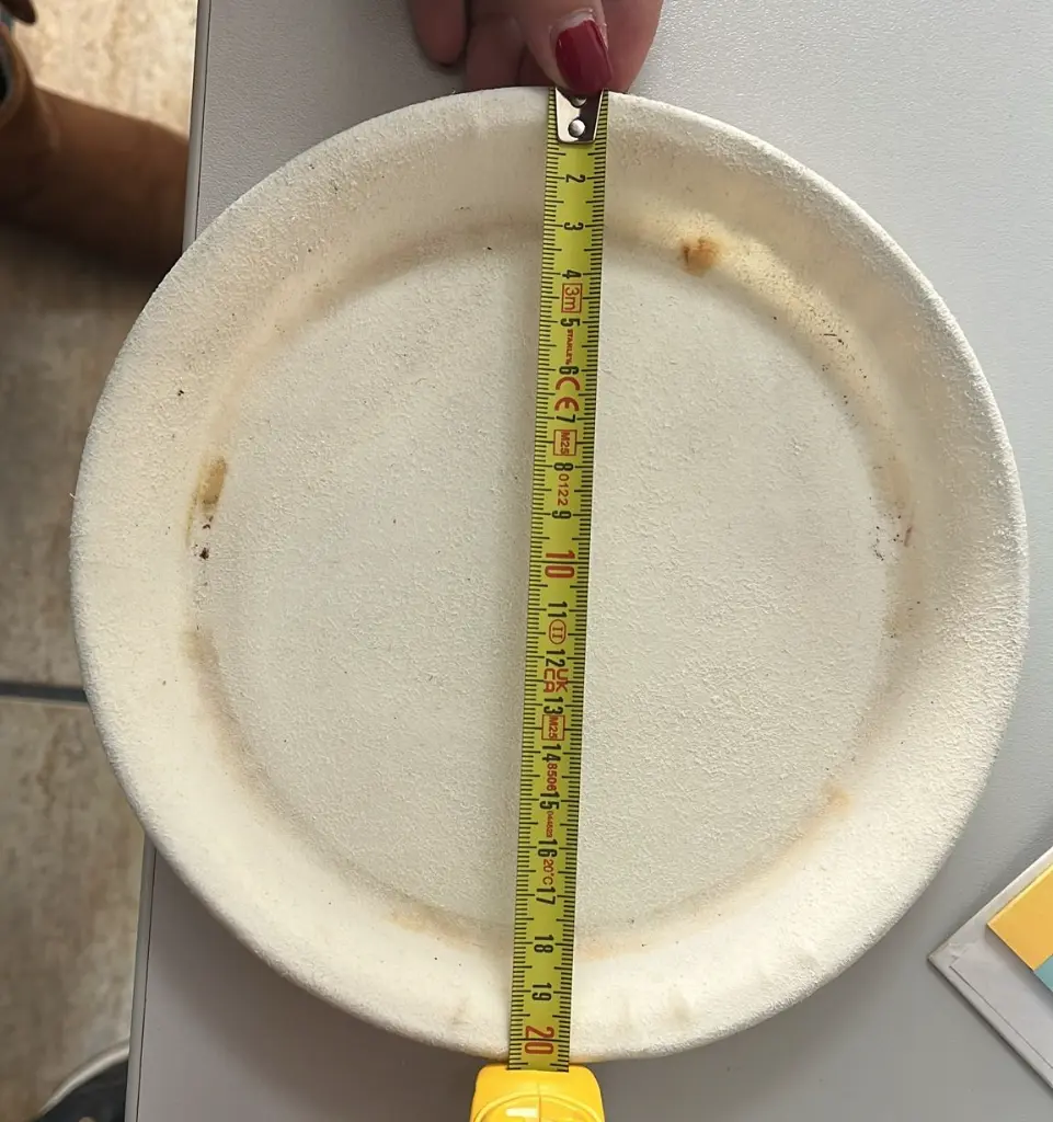 Parche bongo 7 (2).webp