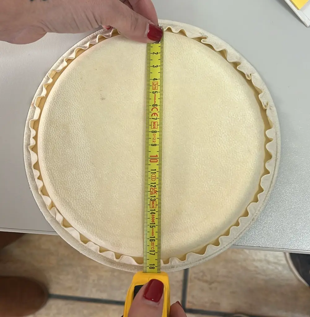 Parche bongo 7 (1).webp