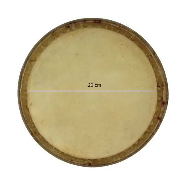 4169 Parche Bongo 9_ Ref. R00170.webp