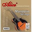 Mandolina Strings Ref. AM03