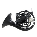 Plastic ABS Double French Horn Bb/F